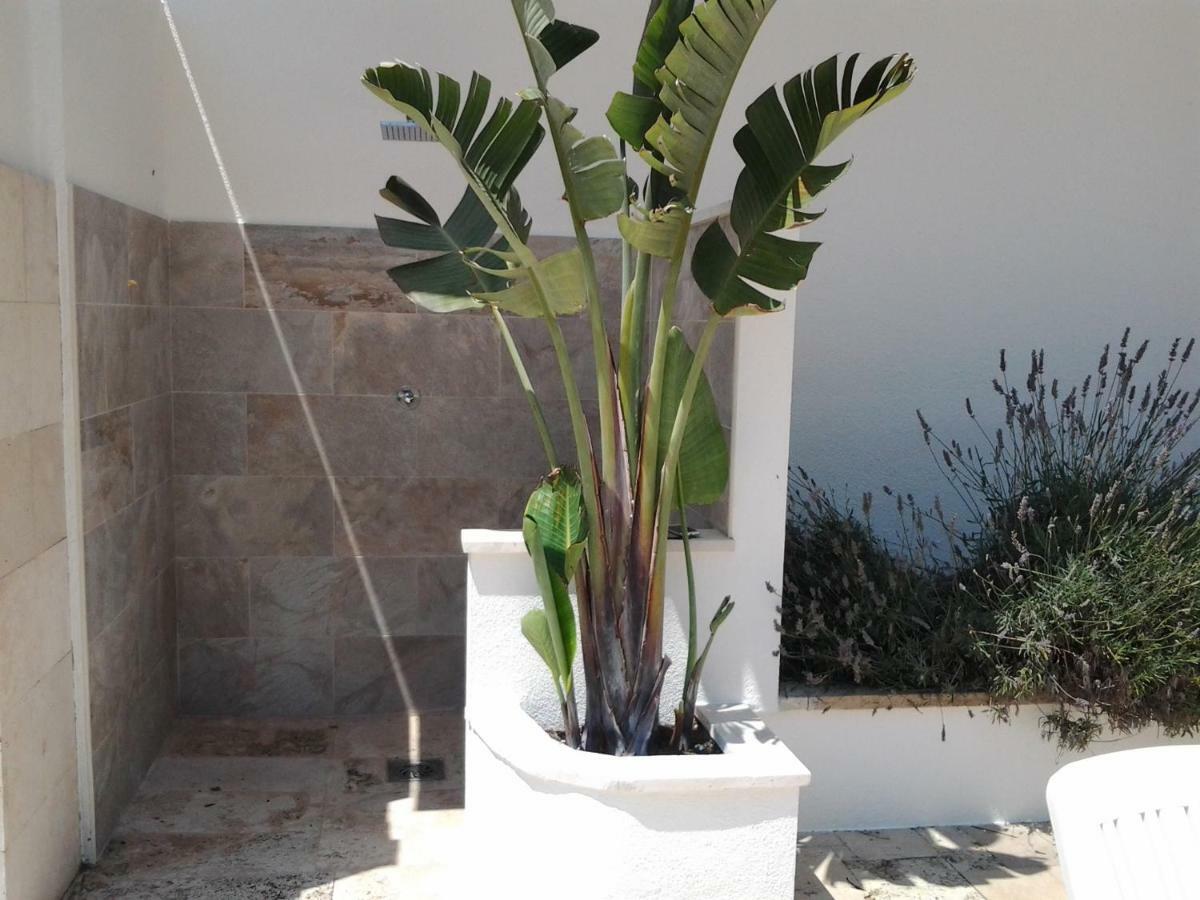 Ferienwohnung Apartamento Sol- Fanals Lloret de Mar Exterior foto